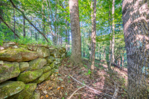 Cox Store Rd SW, Floyd, VA 24091-73