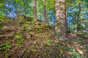 Cox Store Rd SW, Floyd, VA 24091-75