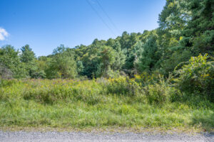 Cox Store Rd SW, Floyd, VA 24091-8