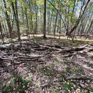 1235 White Hill Rd Bolivar NY by Access Land Co 12