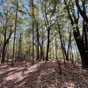 1235 White Hill Rd Bolivar NY by Access Land Co