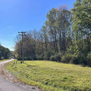 1235 White Hill Rd Bolivar NY by Access Land Co 8