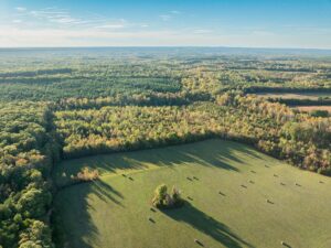 Mount Carmel Rd, Alton, VA 24520 by Access Land Co. 10