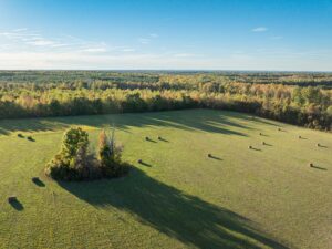 Mount Carmel Rd, Alton, VA 24520 by Access Land Co. 11