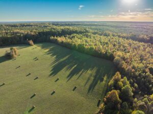 Mount Carmel Rd, Alton, VA 24520 by Access Land Co. 12