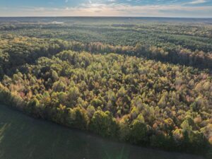 Mount Carmel Rd, Alton, VA 24520 by Access Land Co. 13