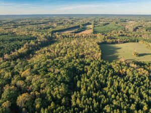 Mount Carmel Rd, Alton, VA 24520 by Access Land Co. 14