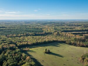 Mount Carmel Rd, Alton, VA 24520 by Access Land Co. 15