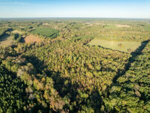 Mount Carmel Rd, Alton, VA 24520 by Access Land Co. 6