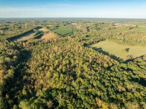 Mount Carmel Rd, Alton, VA 24520 by Access Land Co. 7