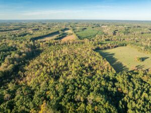 Mount Carmel Rd, Alton, VA 24520 by Access Land Co. 8