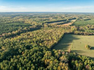 Mount Carmel Rd, Alton, VA 24520 by Access Land Co. 9