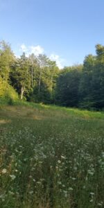 2674 Ten Mile Rd Allegany, NY 14706 Access Land Co. A