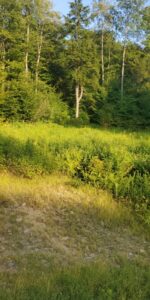 2674 Ten Mile Rd Allegany, NY 14706 Access Land Co. B