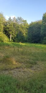 2674 Ten Mile Rd Allegany, NY 14706 Access Land Co. C