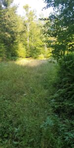 2674 Ten Mile Rd Allegany, NY 14706 Access Land Co. D