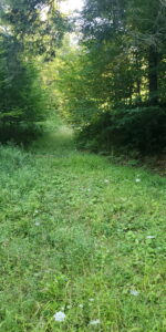 2674 Ten Mile Rd Allegany, NY 14706 Access Land Co. E