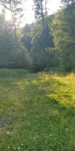 2674 Ten Mile Rd Allegany, NY 14706 Access Land Co. F