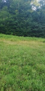 2674 Ten Mile Rd Allegany, NY 14706 Access Land Co. G