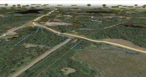 BEARSKIN TRAIL Property