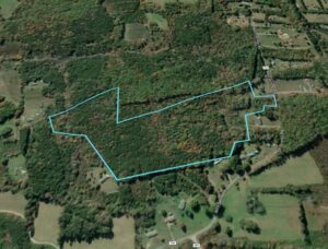 05-bold-springs-oblique-from-north