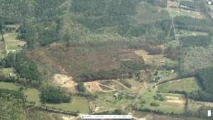 Bold Springs_south