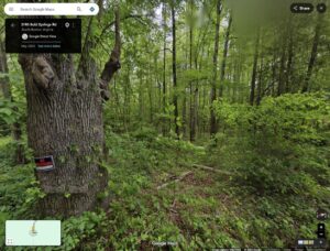 SV-04-interior-timber-posted-sign